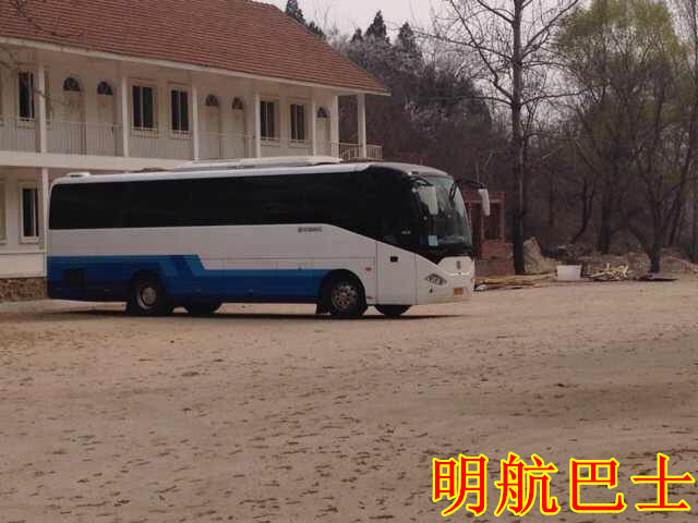 37座金龙豪华大巴出租